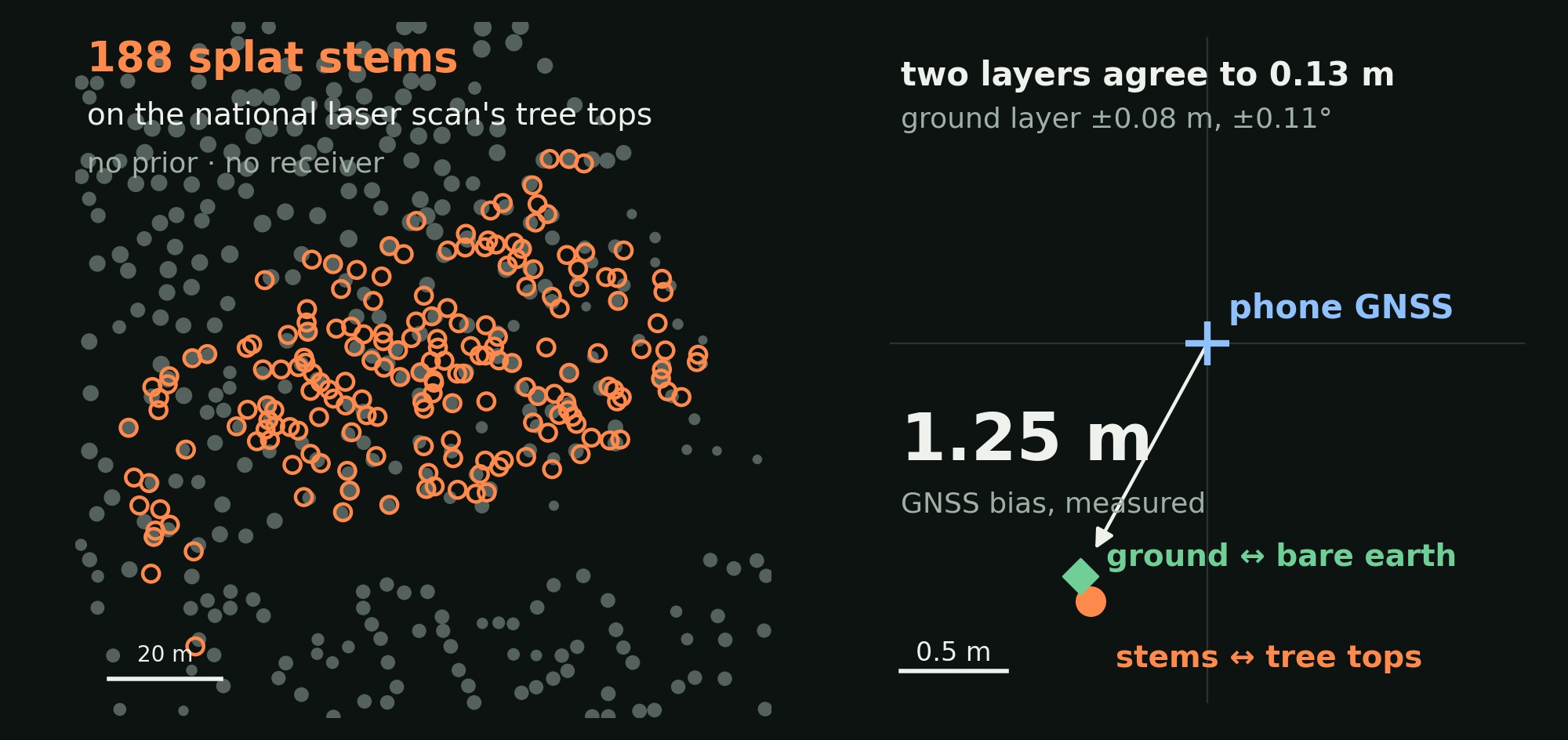 Left: the stand's 188 stems as orange rings on the national laser scan's tree tops in grey. Right: where the stand landed, the two matched layers 0.13 m apart and 1.25 m from the phone GNSS position