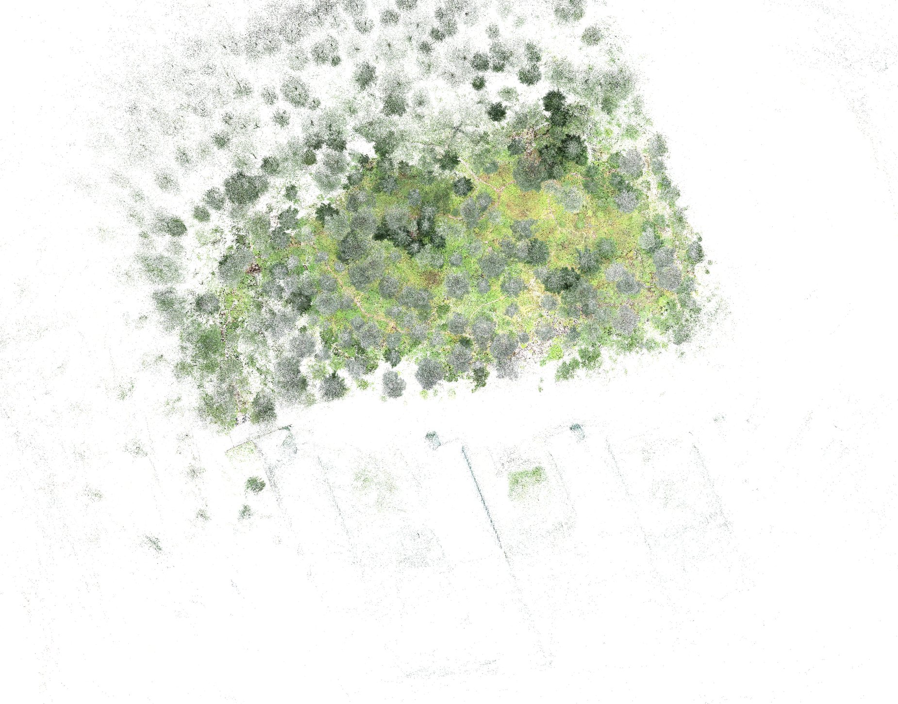 Top-down view of the splat: the forest stand between the road and the university building